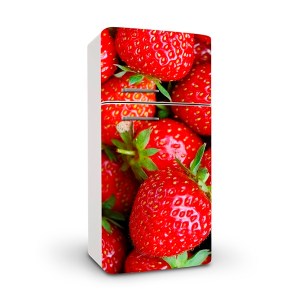 decoracion de neveras