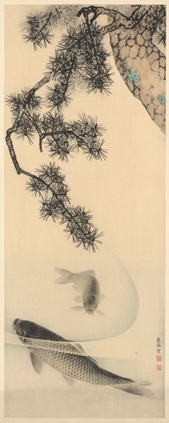 Fotomural Koi V2-762