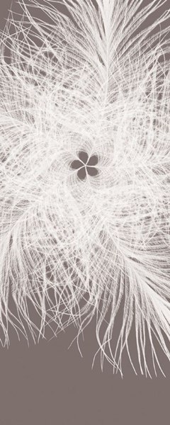 Fotomural Federkern V2-766